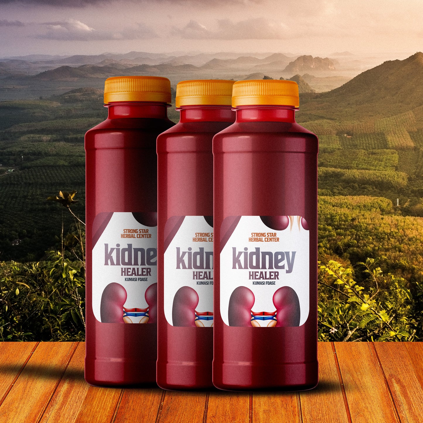 Kidney Healer (6 bottles)